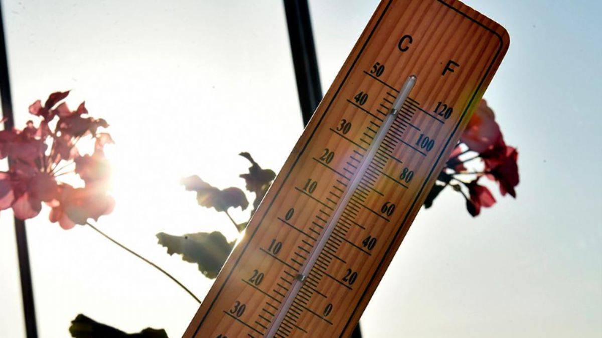 Beklenen yaz geliyor: Hava sıcaklıkları 20 dereceye çıkacak