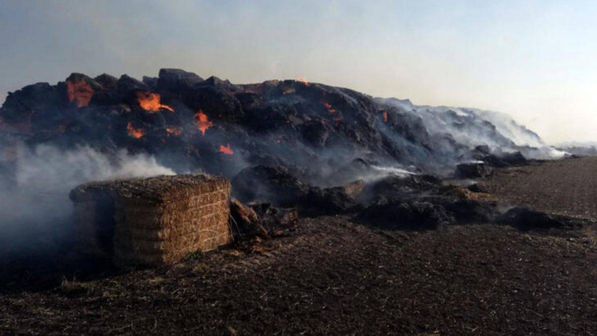 900 ton saman ateşe verildi; 1 kişi tutuklandı