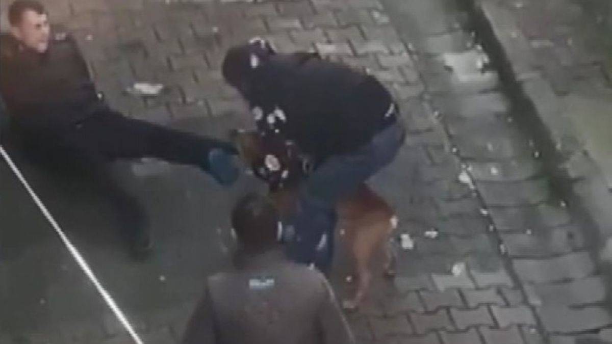 İstanbul'da pitbull saldırısı; 2 kişi tutuklandı