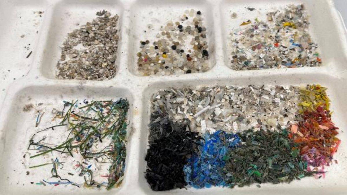 Plastik madde yutuyoruz! Kanda bulundu