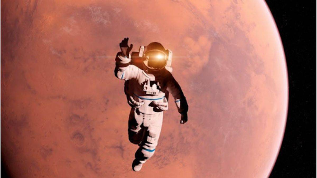 Mars'a gidecek insanları marullar koruyacak