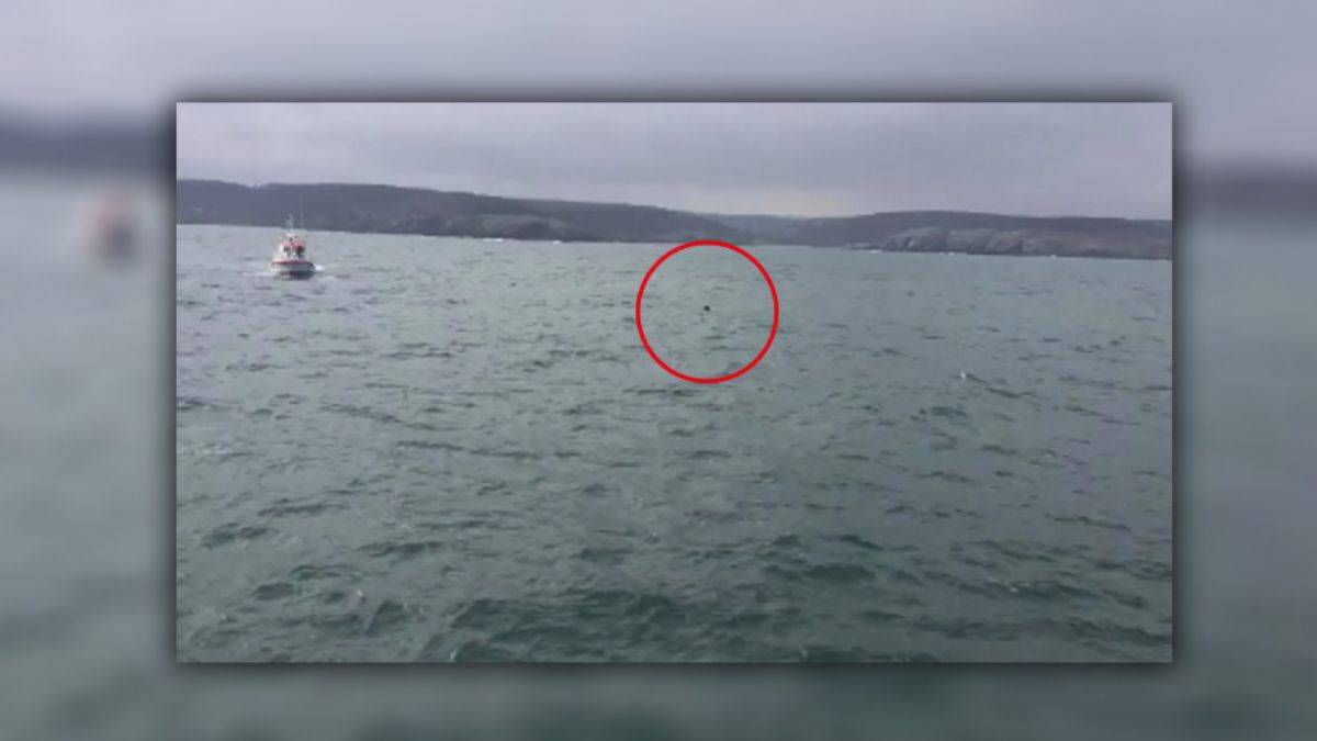 İstanbul Boğazı'nda ''mayın'' alarmı! Açıklamalar peş peşe geldi