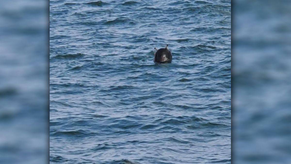 Bakan Akar’dan son dakika mayın açıklaması!