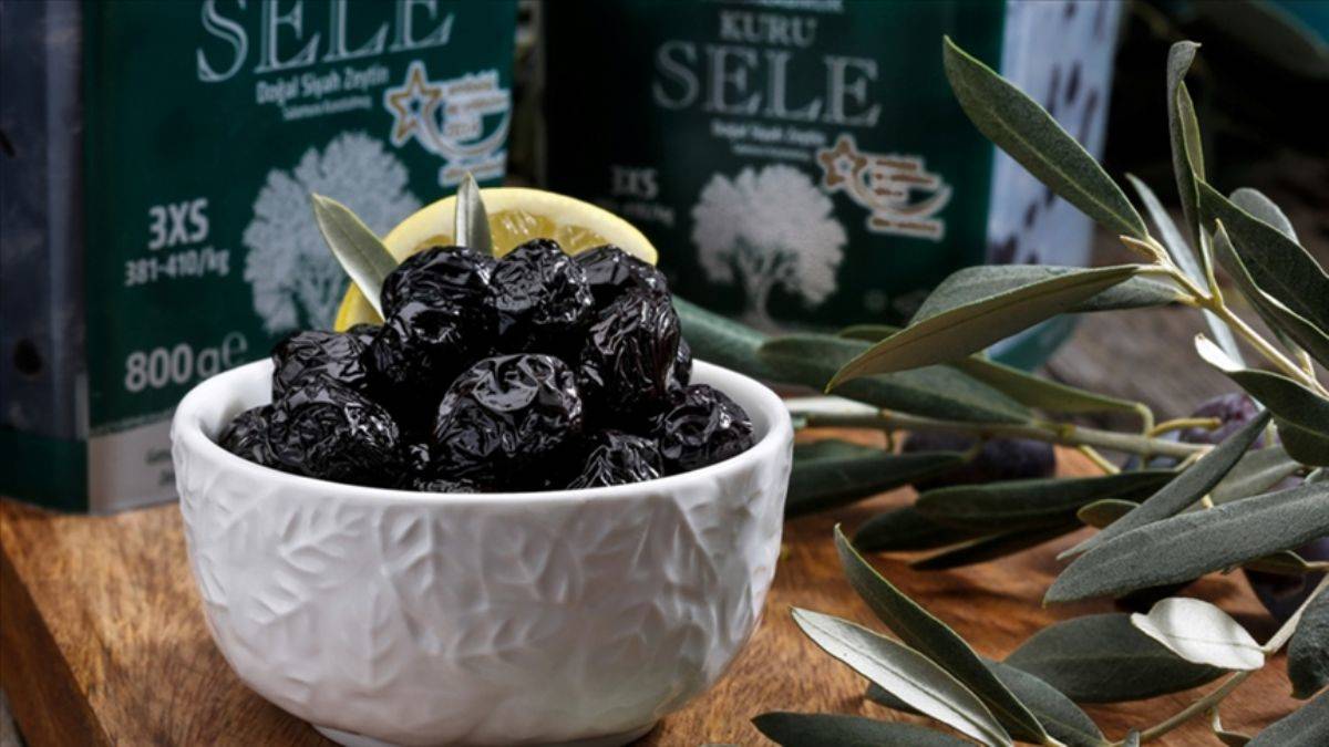 Marmarabirlik'in 2021 cirosu 918 milyon lira olarak açıklandı