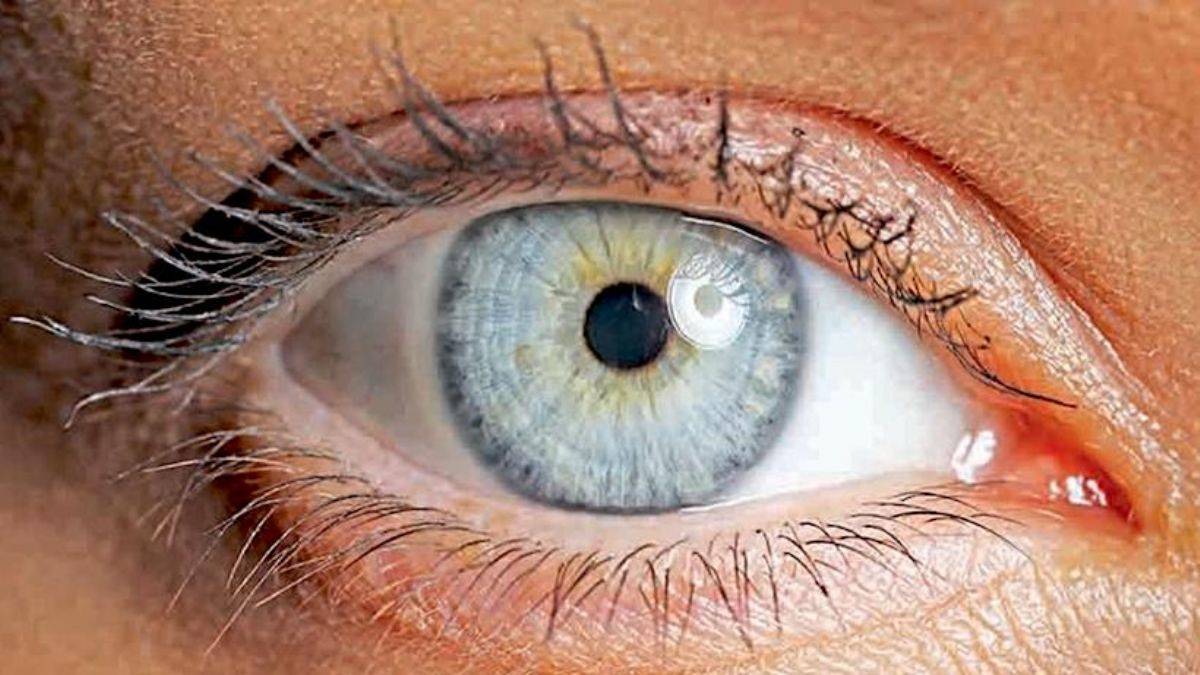 Göz bebeği boyutunun zeka ile ilişkisi belirlendi