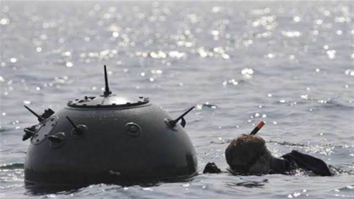 İstanbul Boğazı'ndan sonra şimdi de Karadeniz İğneada yakınlarında mayın bulundu