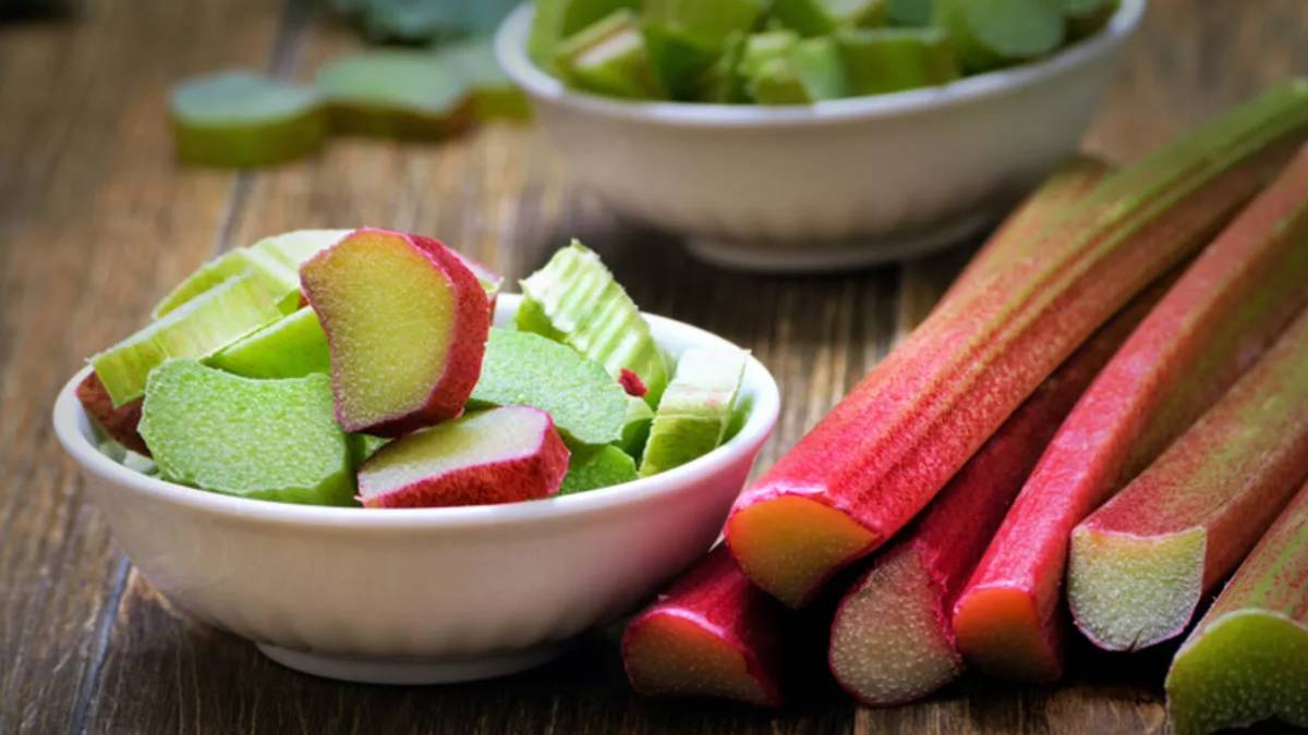 Işkın nedir? Işkın otu faydaları nelerdir? Işkın (Işgın) nasıl yenir? Işgın (Işkın) neye iyi gelir?