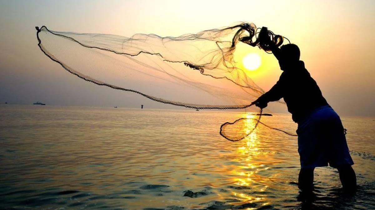 Karadeniz'de balık avı yasak mı? Marmara ve İstanbul Boğazı'nda balık avlamak yasaklandı mı?