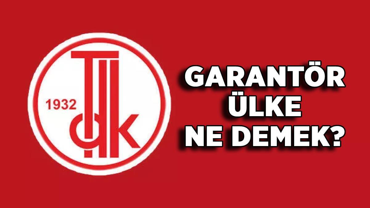 Garantör ülke ne demek? Türkiye garantör ülke olursa ne olur? Garantör ülke nedir, ne yapar?