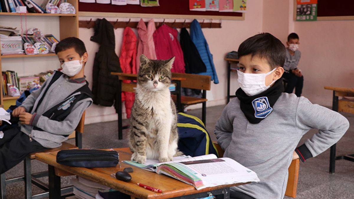 Sınıfın maskotu; 'Uykucu'