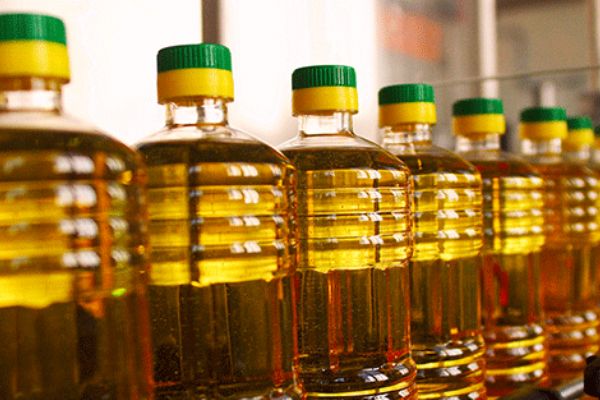 Rusya-Türkiye arasında önemli ayçiçek hamlesi! Türkiye'ye taşınıyor