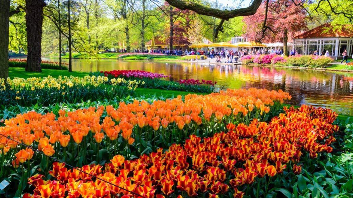 Nisan ayı kaç çekiyor? 2022 Nisan kaç gün? Nisan 30 gün mü 31 gün mü? Nisan 30 mu çeker?