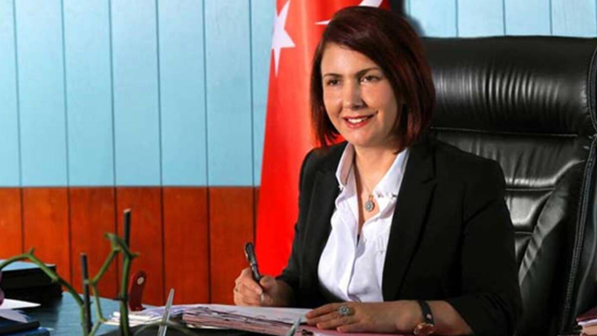 Handan Toprak neden gözaltına alındı? Handan Toprak Benli hangi partili?