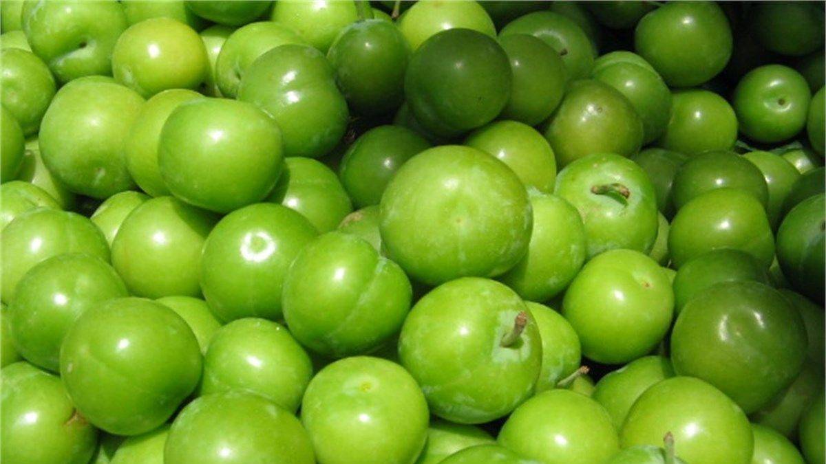 2022 eriğin kilosu ne kadar? Can eriği çıktı mı? 1 kilo yeşil erik kaç TL?