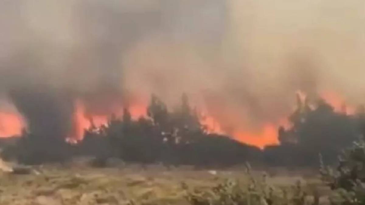 İzmir Çeşme orman yangını | Yangın nerede hangi mahallede çıktı? Yangın söndürüldü mü?