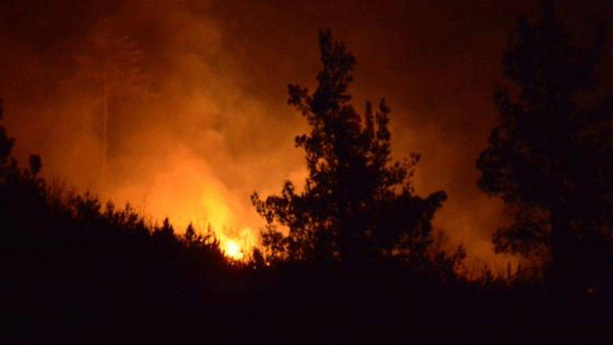 Çanakkale’de korkutan orman yangını