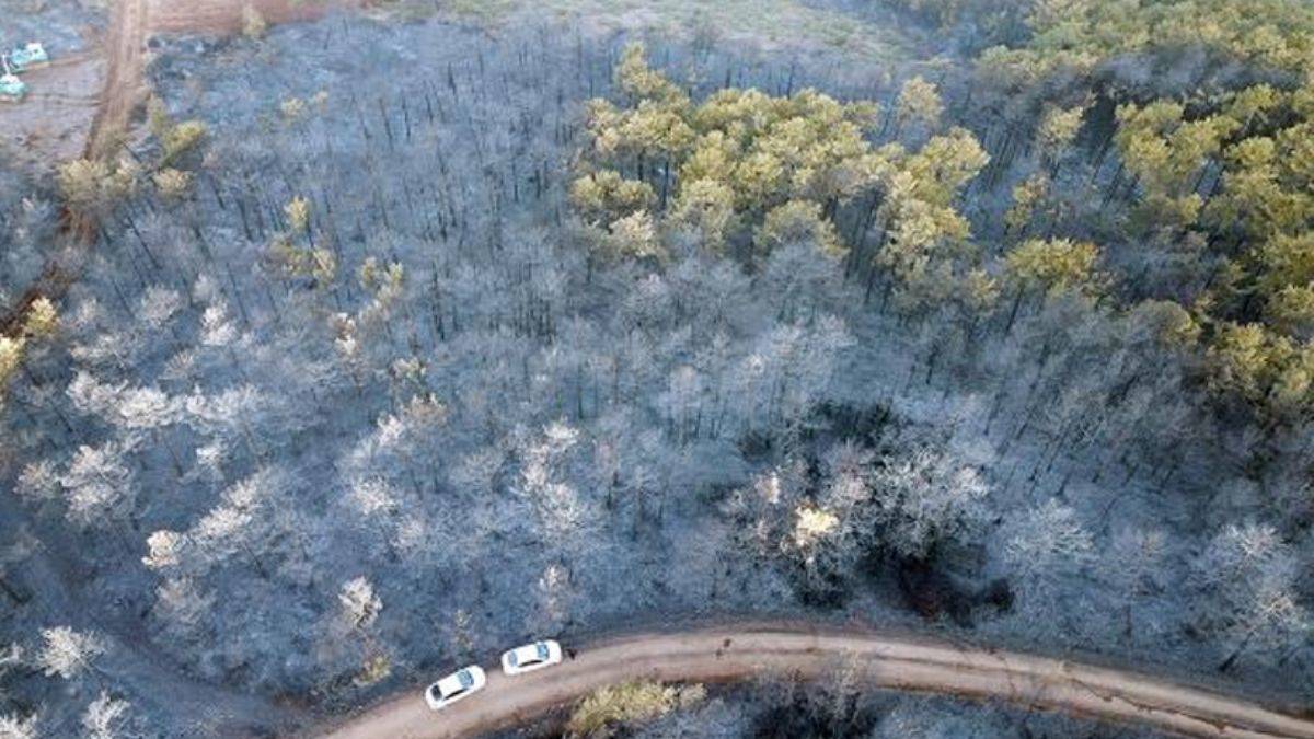 Bursa'daki orman yangını söndürüldü: 60 hektarlık alan kül oldu