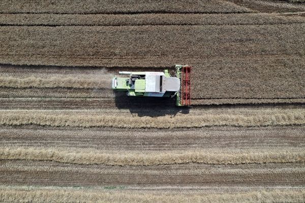 Bakan Kirişci: Tarımsal destekleme ödemelerini çiftçilerimizin hesaplarına aktarmaya başlıyoruz