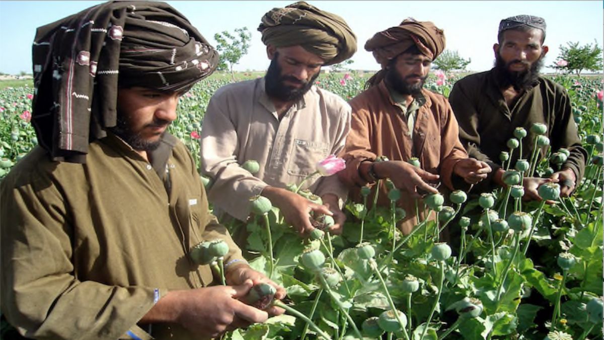 Taliban uyuşturucu ile sarhoşluk veren tüm maddelerin üretim ve tüketimini yasakladı