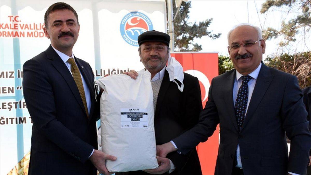 Çiftçilere 472 ton tohumluk dağıtılacak
