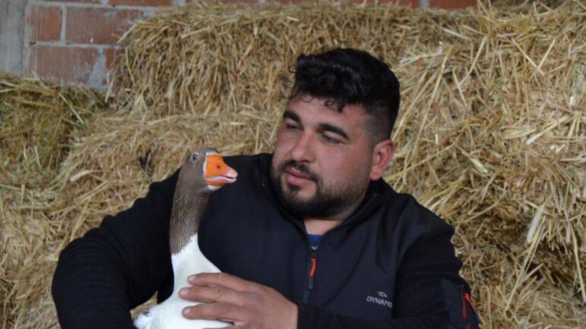 Kesmek için aldığı kaz, peşinden ayrılmıyor