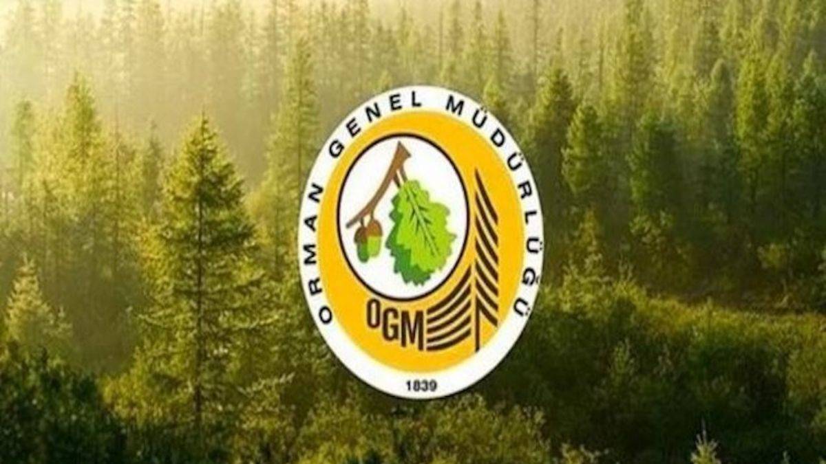Orman Genel Müdürlüğü 5 bin geçici işçi alacak