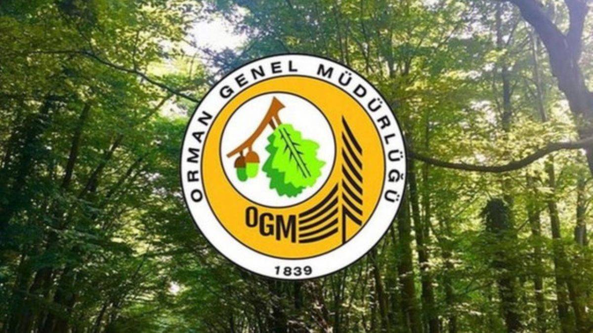 Orman Genel Müdürlüğü 5 bin işçi alım ilanı | OGM 81 ilde 5 bin işçi hangi şartlarda alınacak? OGM başvuru ve alım şartları nelerdir?