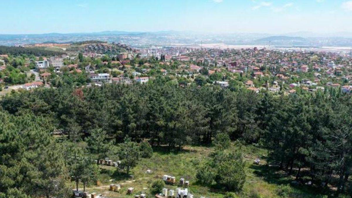 2 ilde bazı bölgeler 'kesin korunacak hassas alan' ilan edildi