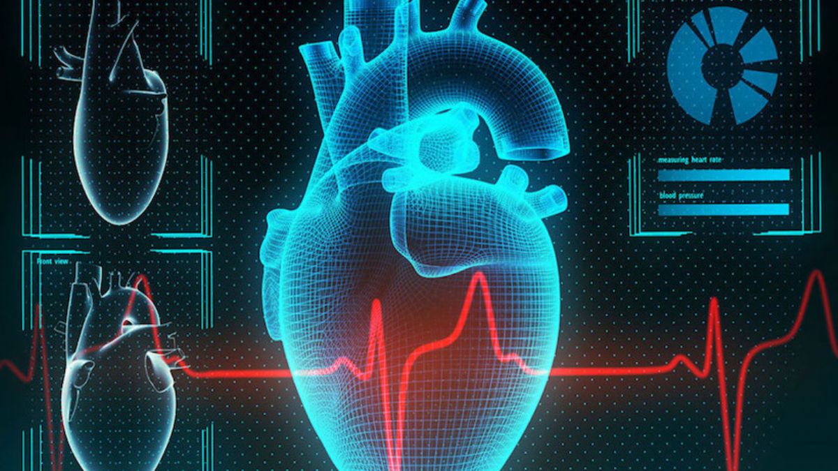 Kalp hastalarının 'ne zaman öleceğini' tahmin eden bir yapay zeka geliştirildi