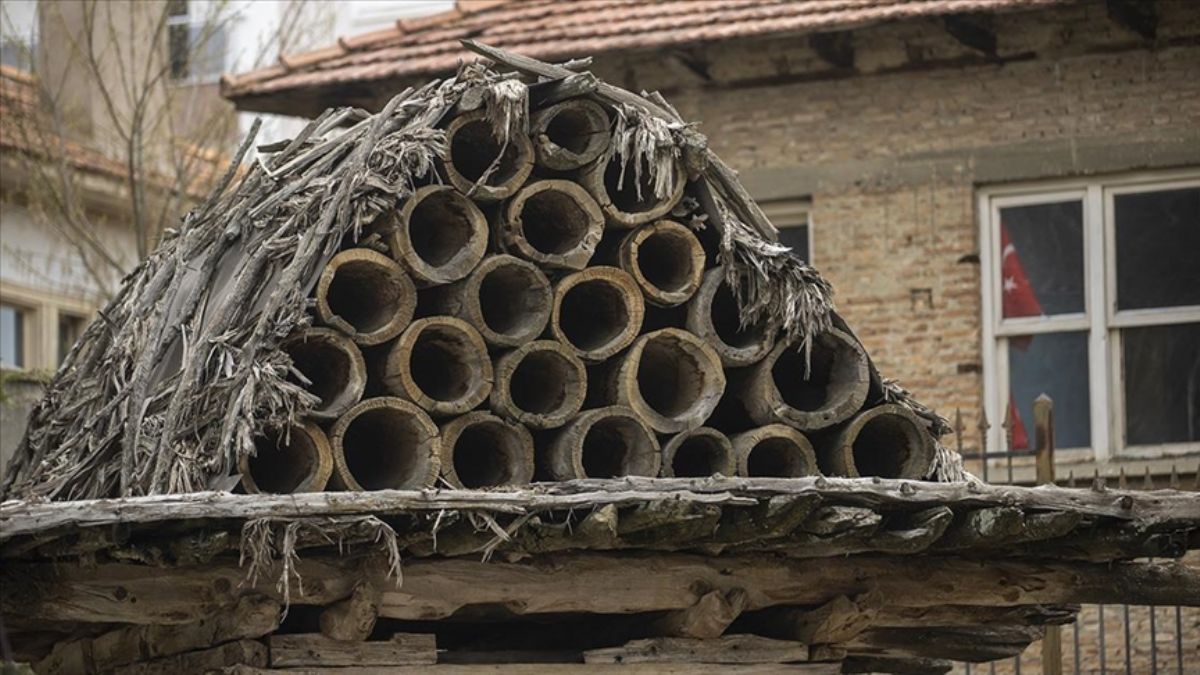 Elmalı'nın tarihi tahıl ambarları ve arı serenleri