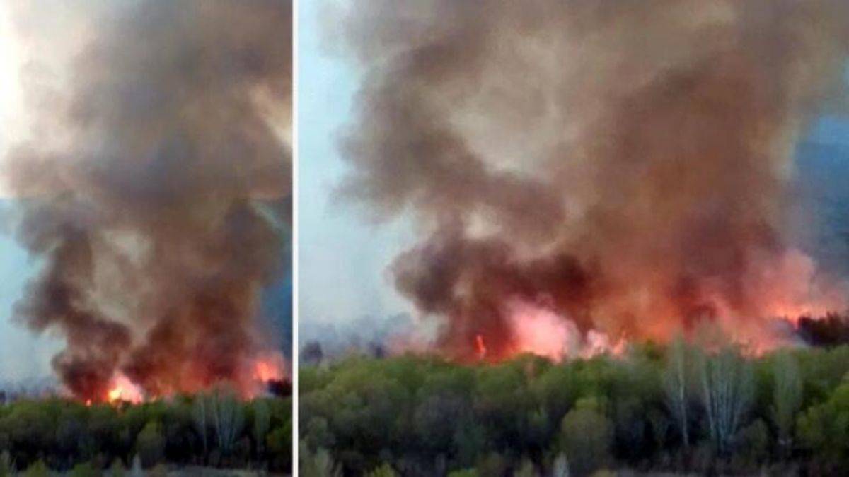Ermeniler domuzları kaçırmak isterken ormanı yaktı