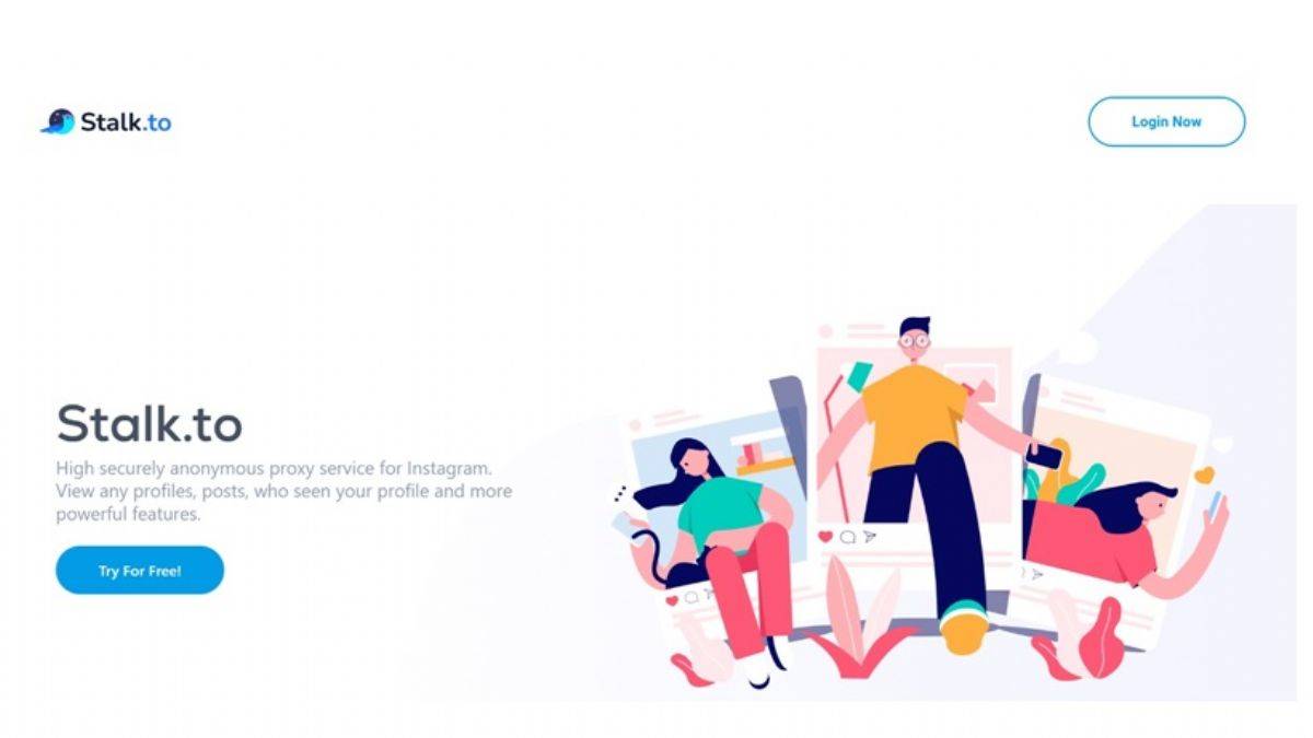 Stalk.to Gizli Profil Görüntüleme Nasıl Çalışıyor? Detaylı Bilgi Var Mı?