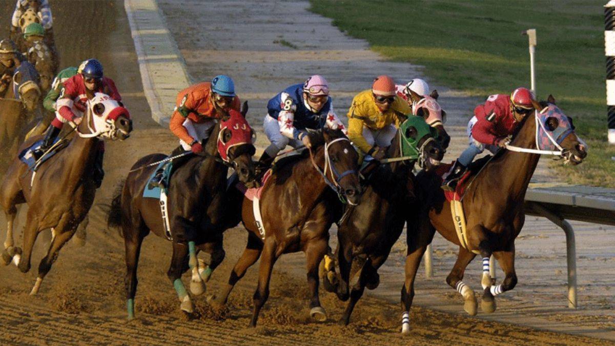 Meclis'te kabul edildi: At yarışı gelirleri, Varlık Fonu'na aktarılacak