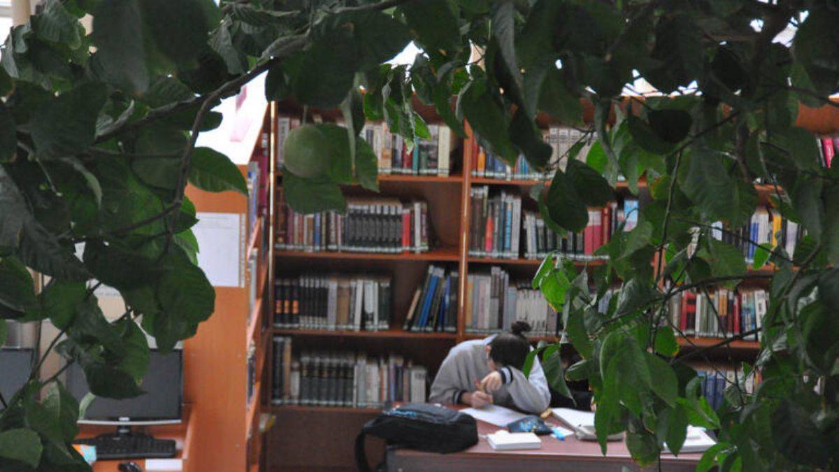 Kütüphane yenilenecek, limon ağacı korunacak