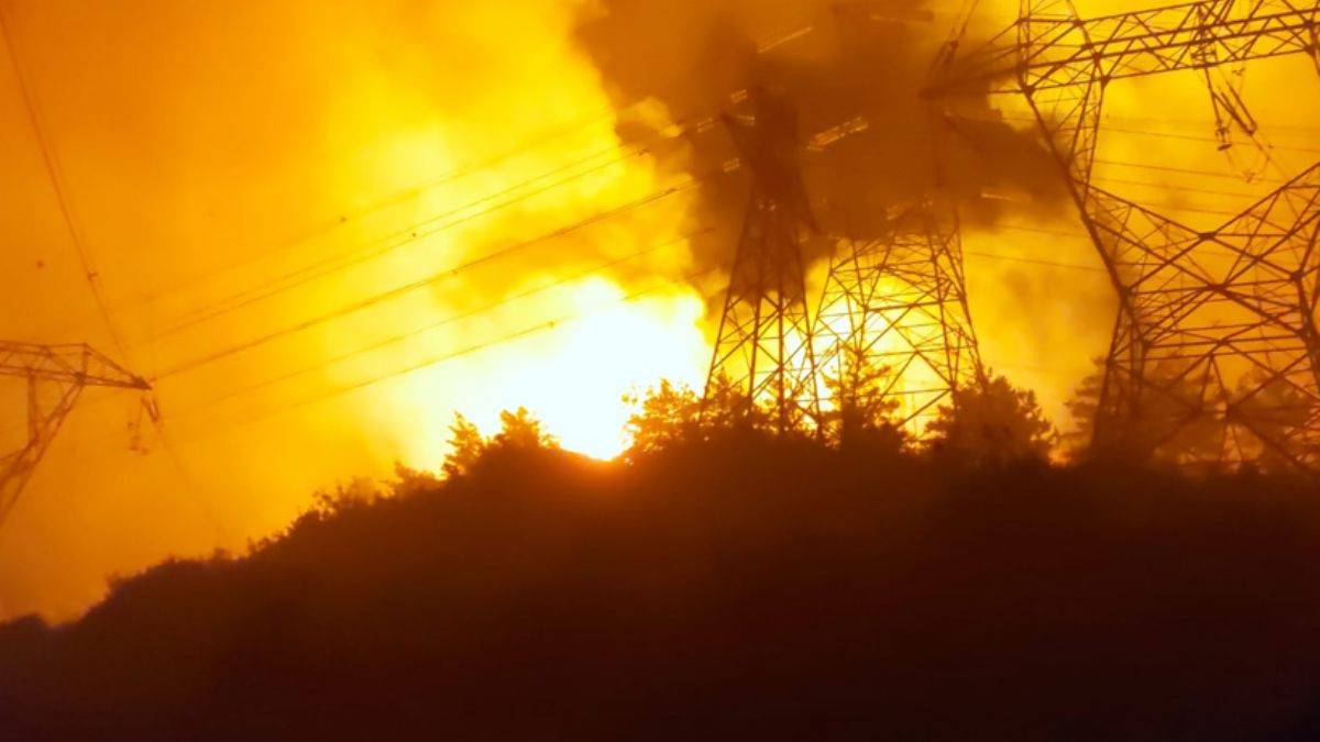 Hatay'da orman yangını