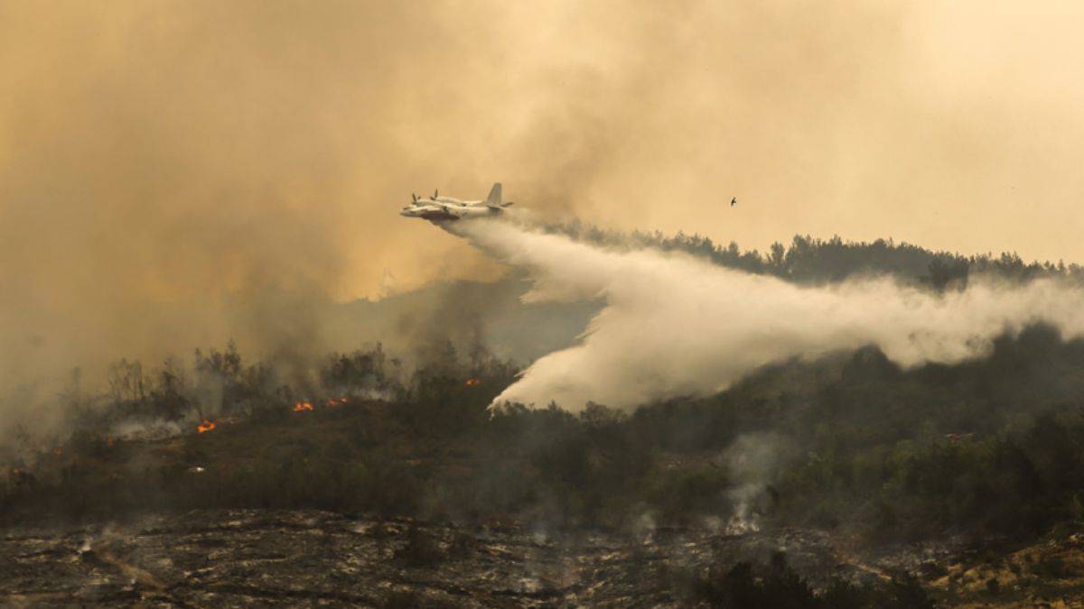Hatay'daki yangın kontrol altına alındı: 2 kişi gözaltında