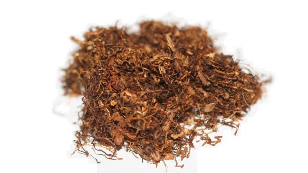 Sarmalık tütüne zam mı geldi? Tütün fiyatları arttı mı? ÖTV güncellemesiyle tütün fiyatları artar mı?