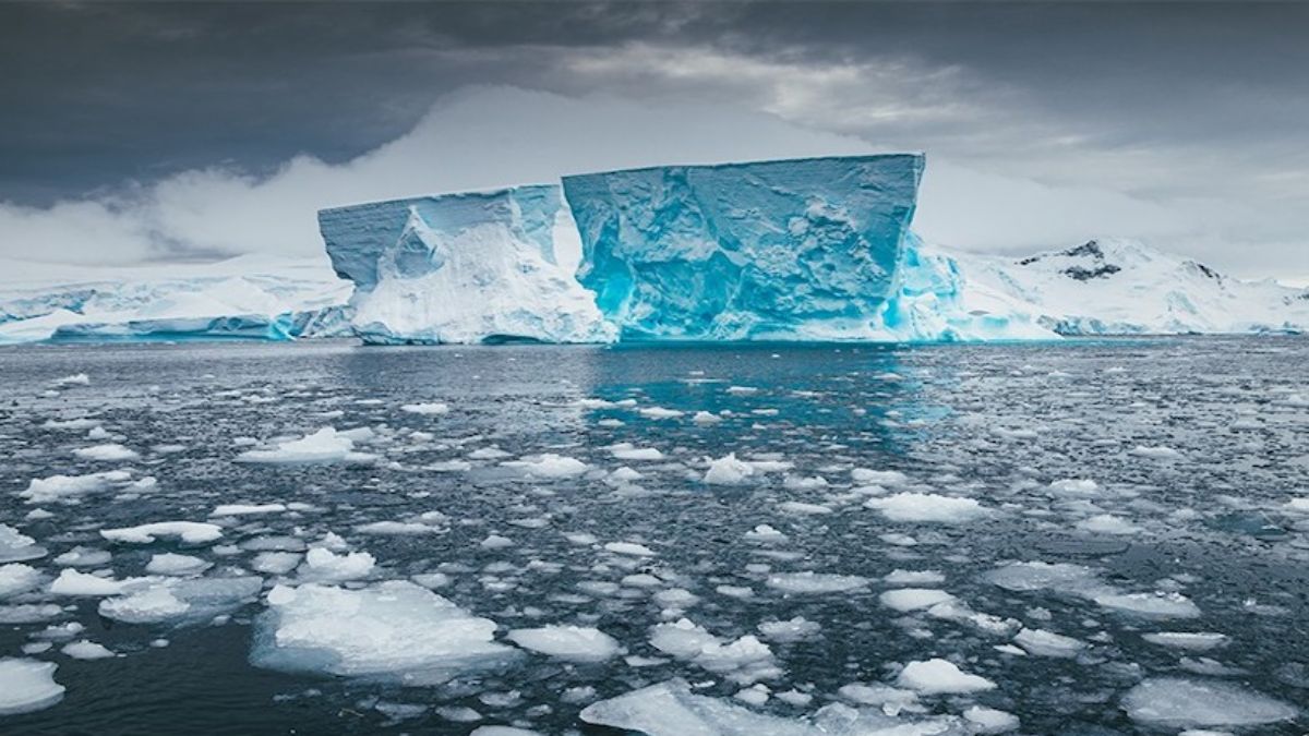 Antarktika'da alarm: Deniz buzu en düşük seviyesinde