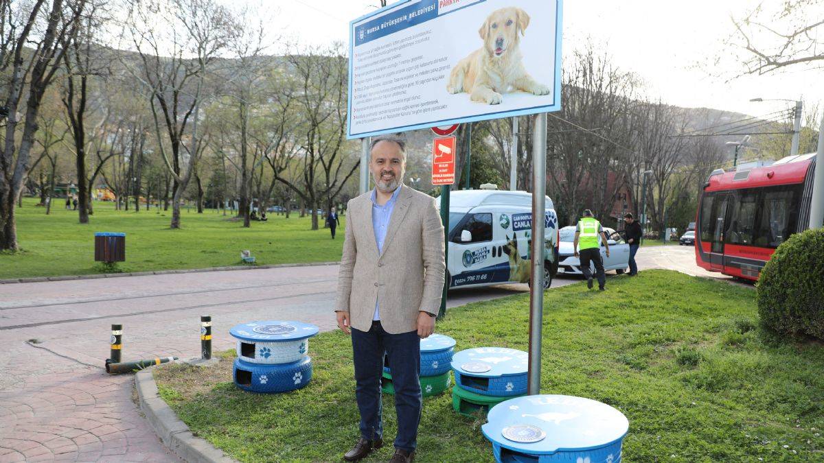 Eski lastikler kedilere ev oldu