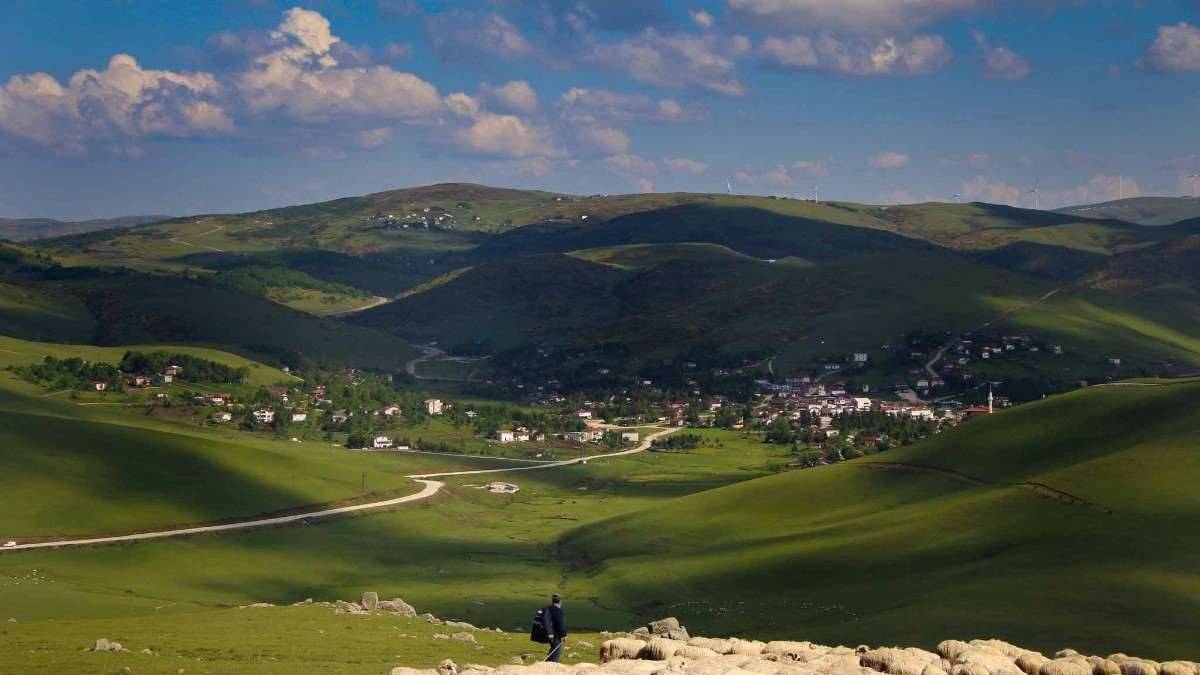 Besicilere 2022 destek ödemesi yapıldı mı? Manda Malak ve Buzağı destekleri ne zaman hesaplara yatacak? Ödemeler başladı mı?