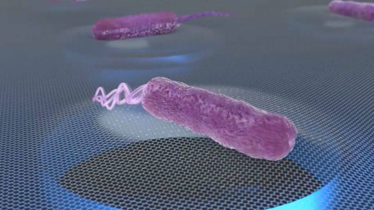 Bakteriler ses çıkartır mı? Şaşırtıcı sonuç!