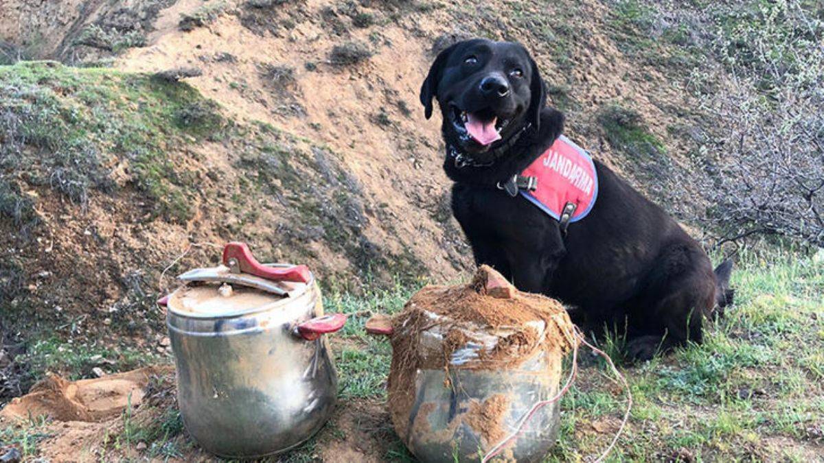 Düdüklü tencerelere yerleştirilmiş EYP bulundu