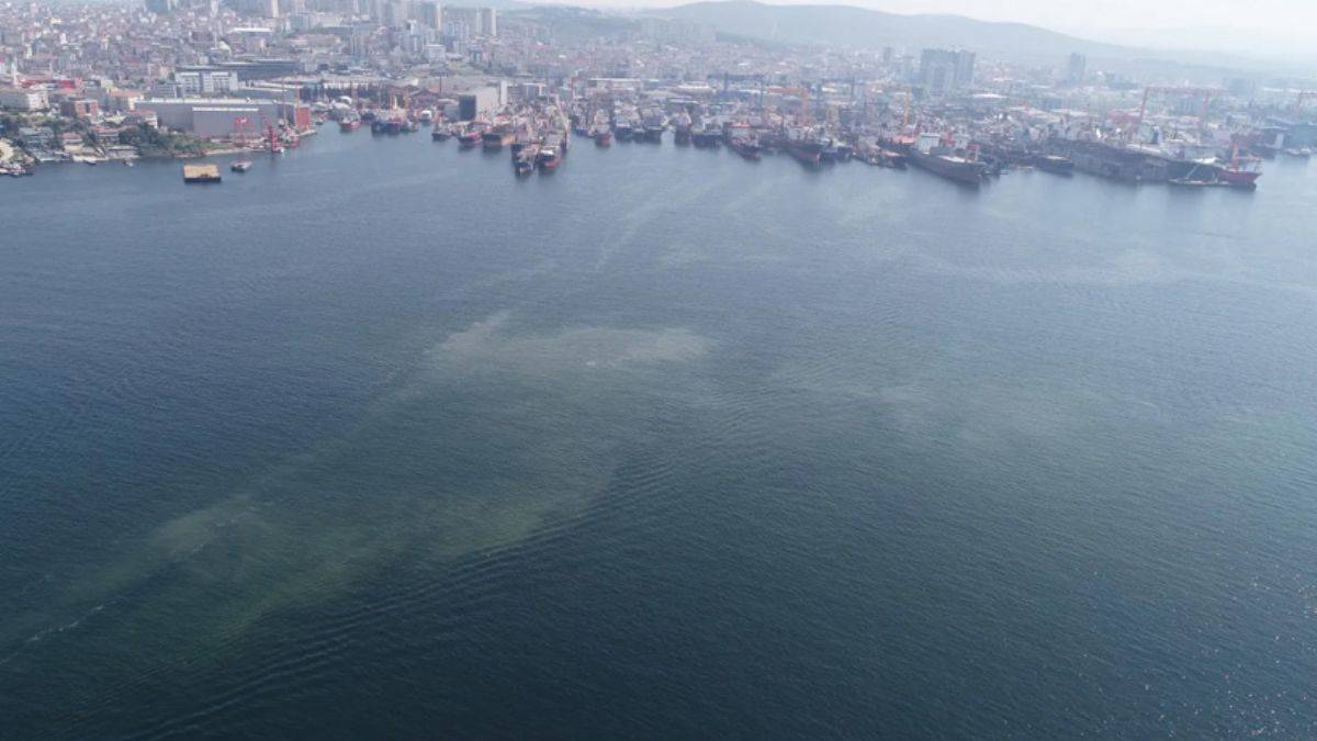 Müsilaj İstanbul sahillerine geri mi geliyor?