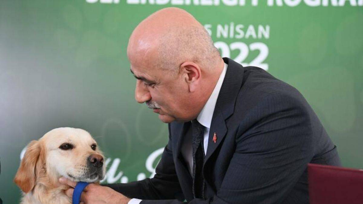 Bakan Kirişci: Hedef 2 milyon sokak hayvanını kısırlaştırmak