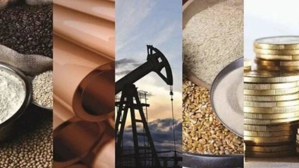 Dünya Bankası: Gıda ve enerji fiyat şokları yıllarca sürebilir