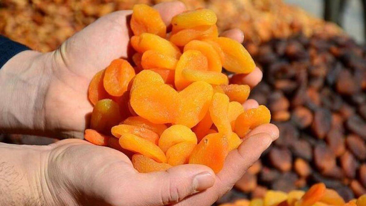 Kayısı çekirdeği ihracatından 5,2 milyon dolarlık gelir