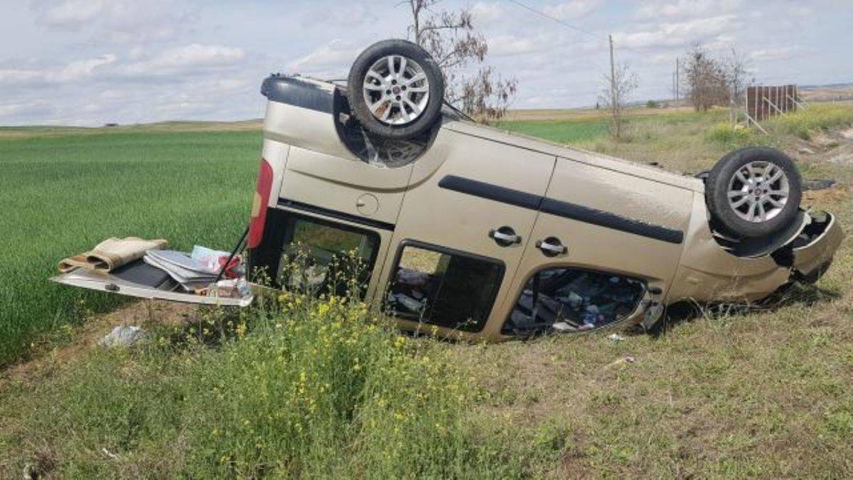 Tilki aniden yola çıktı!