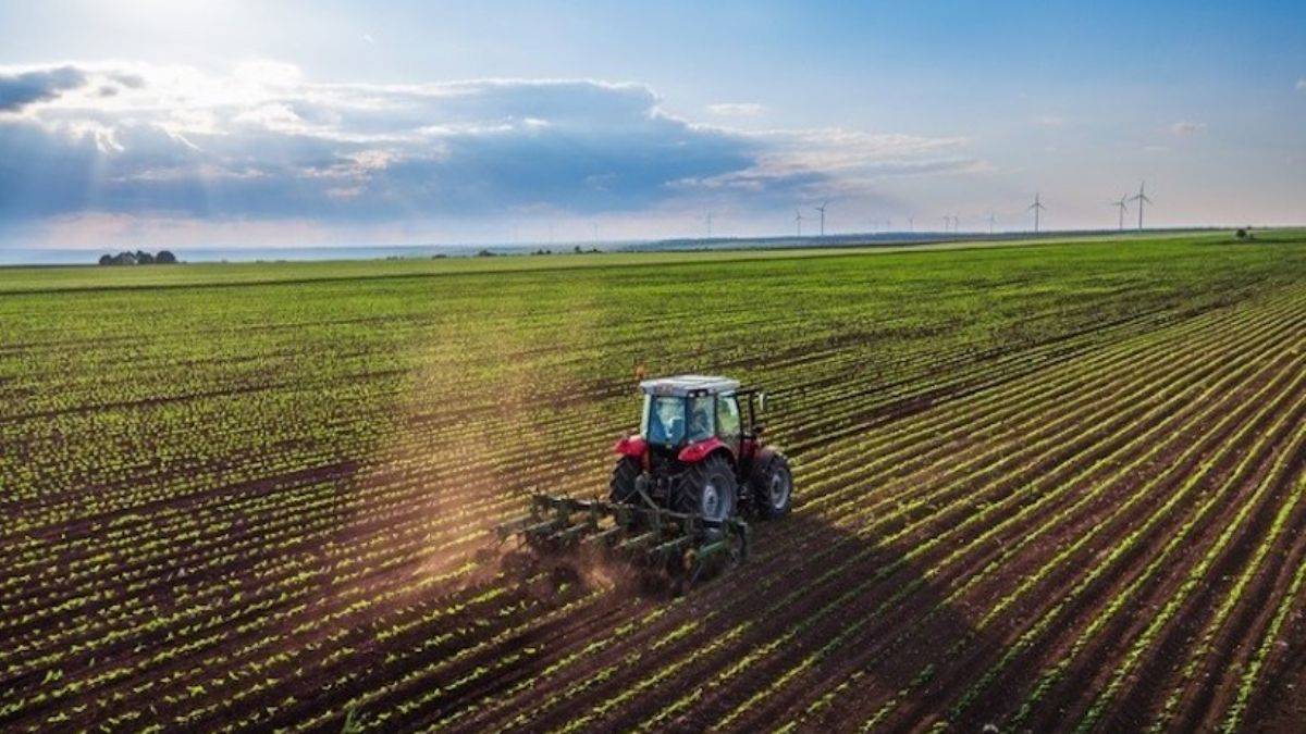 Ukrayna'da Rus saldırılarının ardından mahsul ekimine başlandı