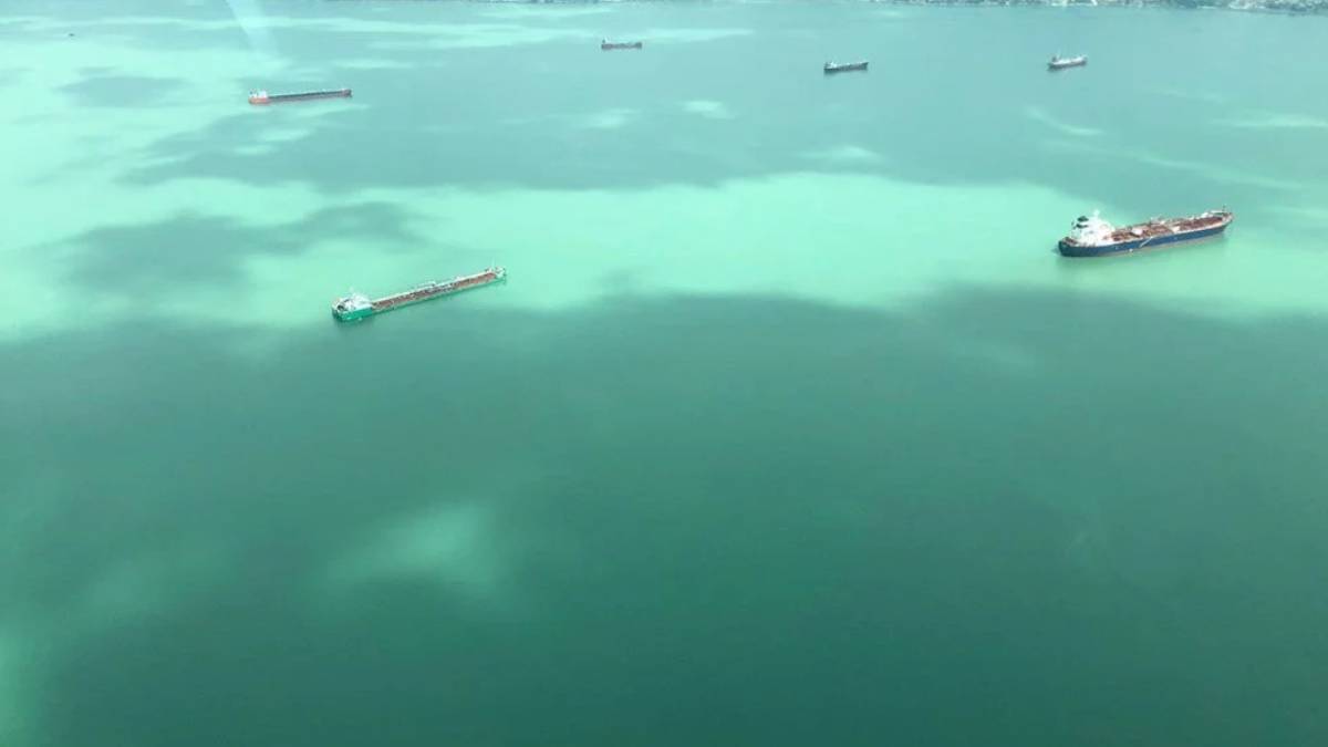 İzmit Körfezi rengi neden değişti? Marmara Denizi Turkuaz rengin nedeni ne? İzmit Körfezi neden renk değiştirdi?