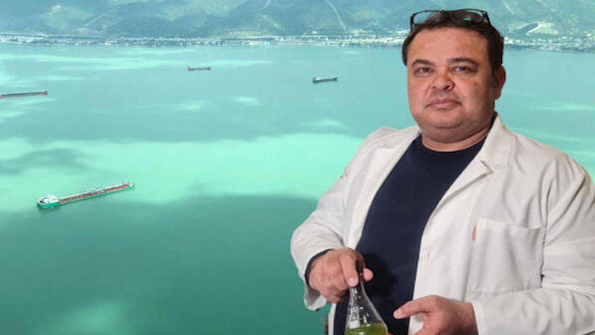 Körfez'deki renk değişiminin nedeni belli oldu